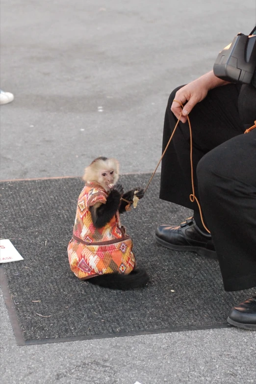 someone holding soing in their hand while sitting on the ground