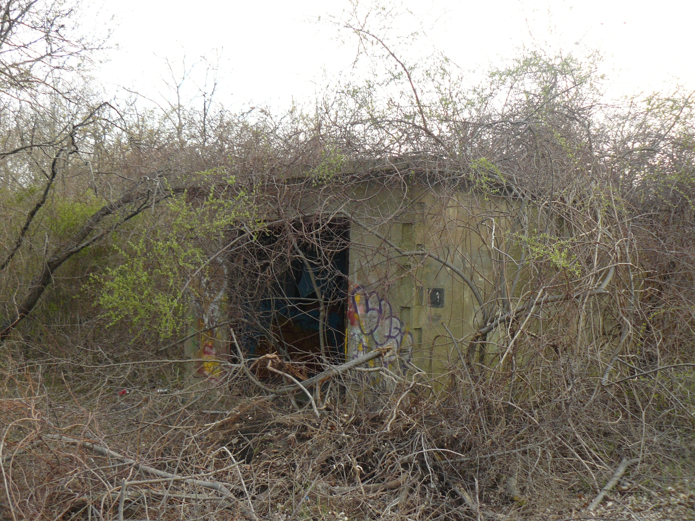 a building near many bushes and trees with no doors