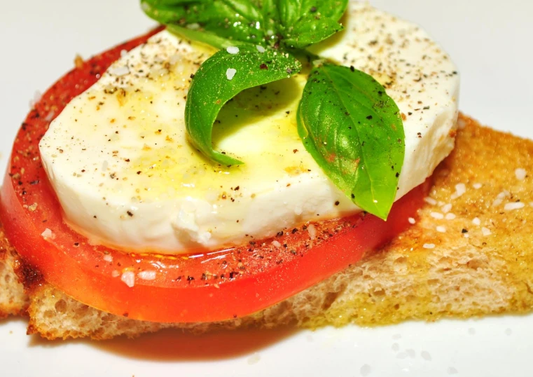 toasted bread topped with tomatoes, mozzarella and basil