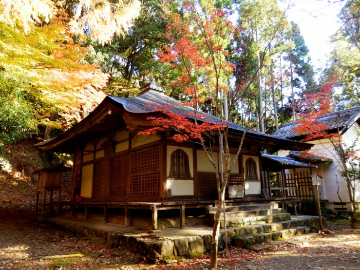 small wooden house surrounded by trees with fall colored leaves