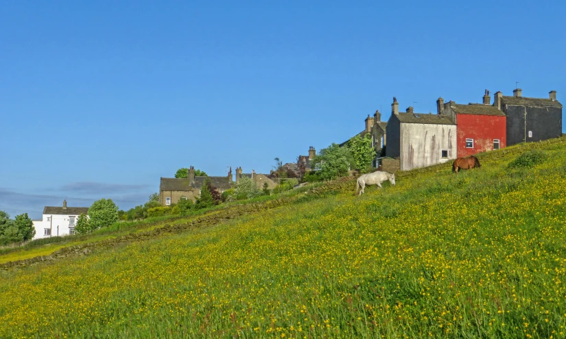 several farm buildings perched on top of a hillside