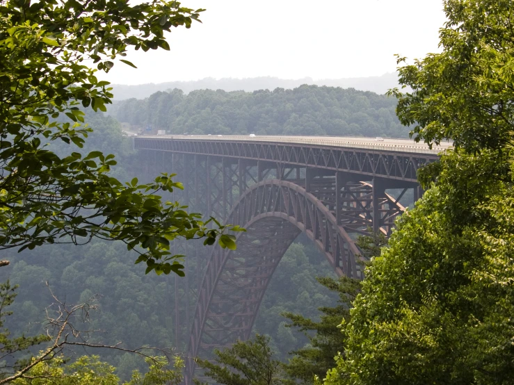 a train on an elevated bridge crossing a river