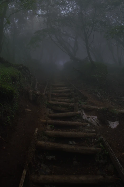 wooden stairs lead up to a misty forest