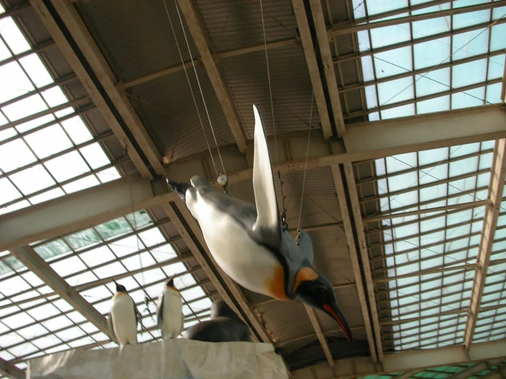 the large metal airplane is suspended in an air museum