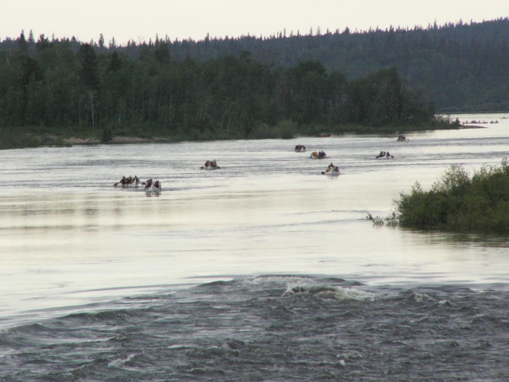 a group of people are out in the water on horses