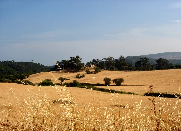 an empty field of grass with a farm house on top