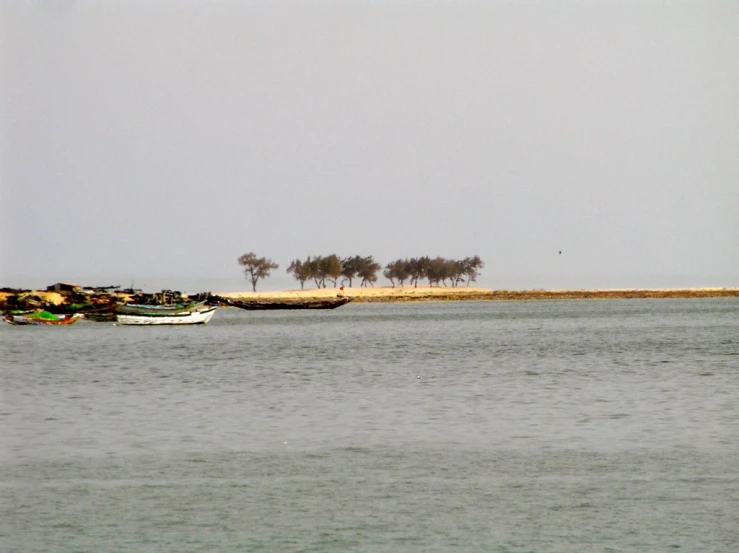 there are many boats on the lake or shore