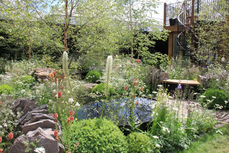 a garden filled with lots of trees and plants