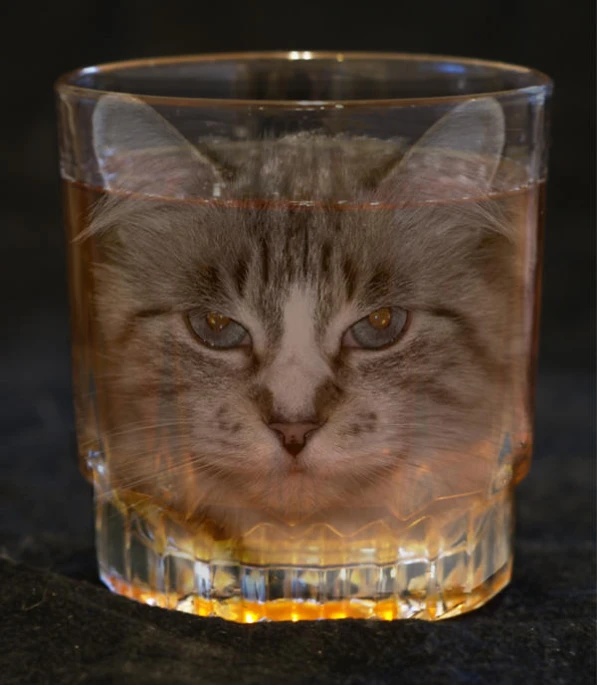a close up of a cat in a glass with water
