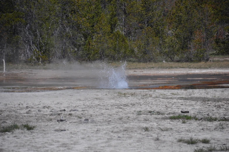 a large red fire hydrant spewing water onto the ground