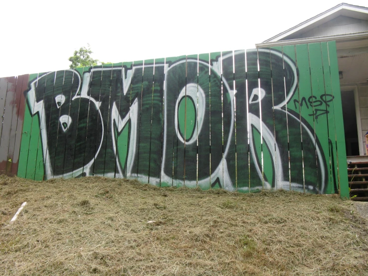 a green fence covered in graffiti with the words monster written on it