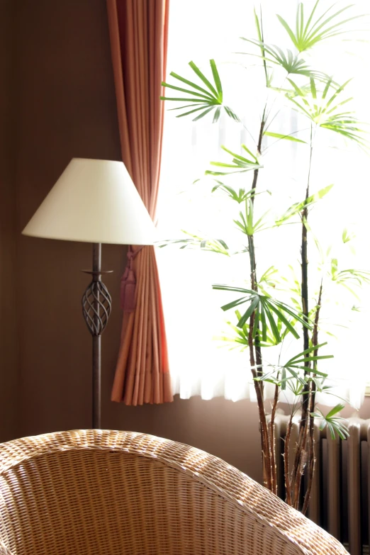 a brown room with a window and a lamp near a chair