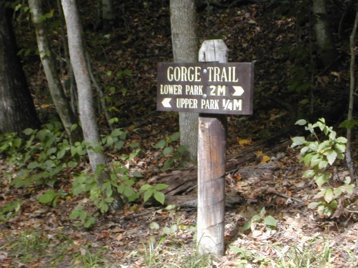 a sign for the trail on top of a forest