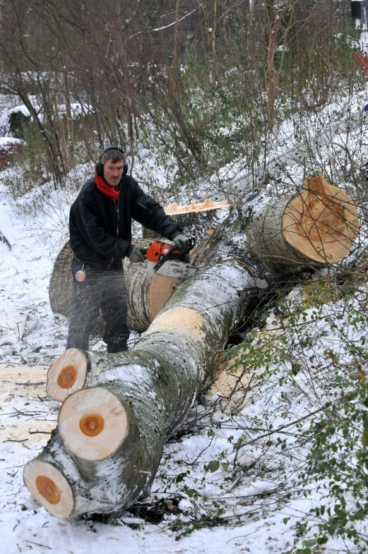 a man uses an axe to cut up trees