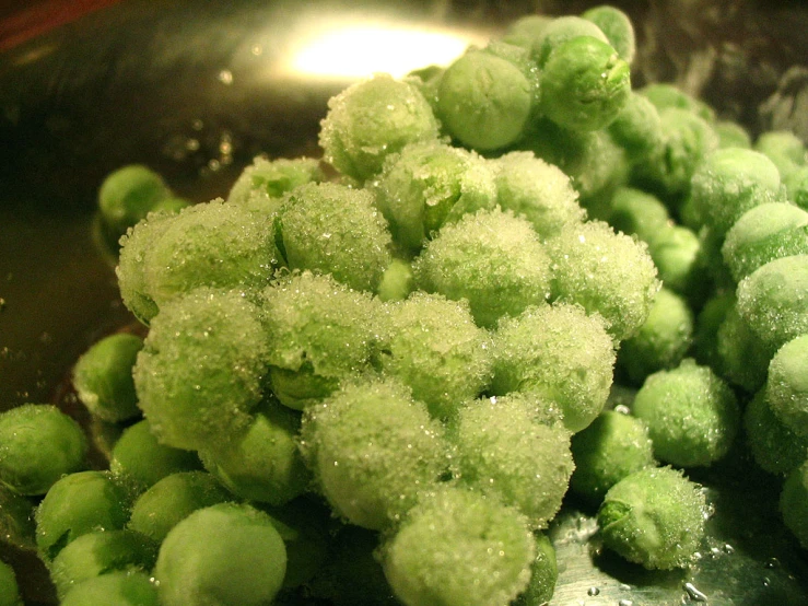 a close up of green powdered plants in a metal bowl