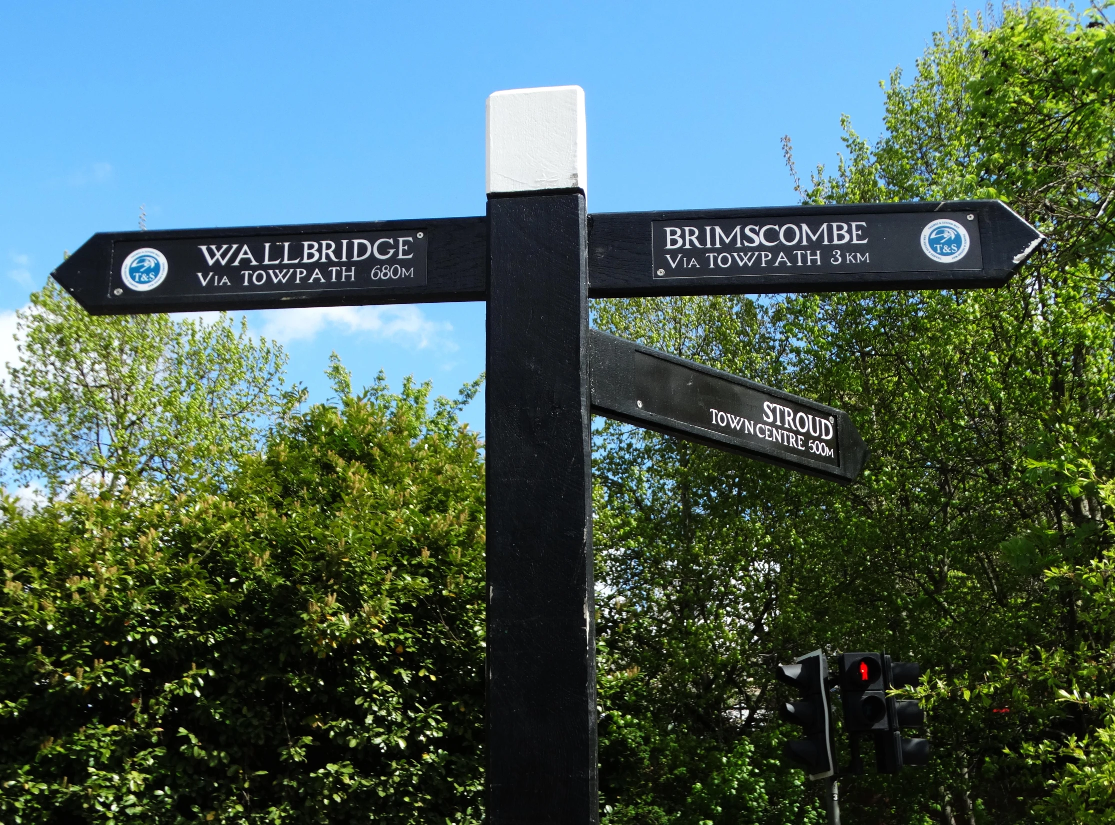 two signs are posted near trees on a street