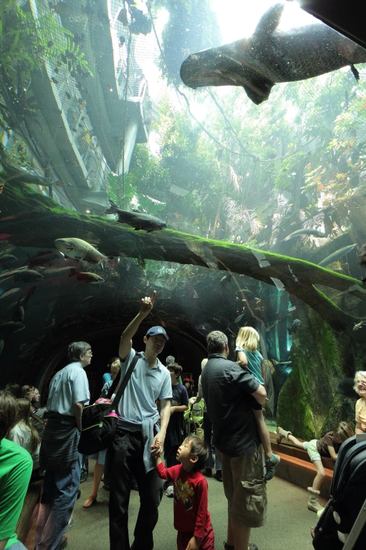 group of people standing in a zoo and looking at a shark