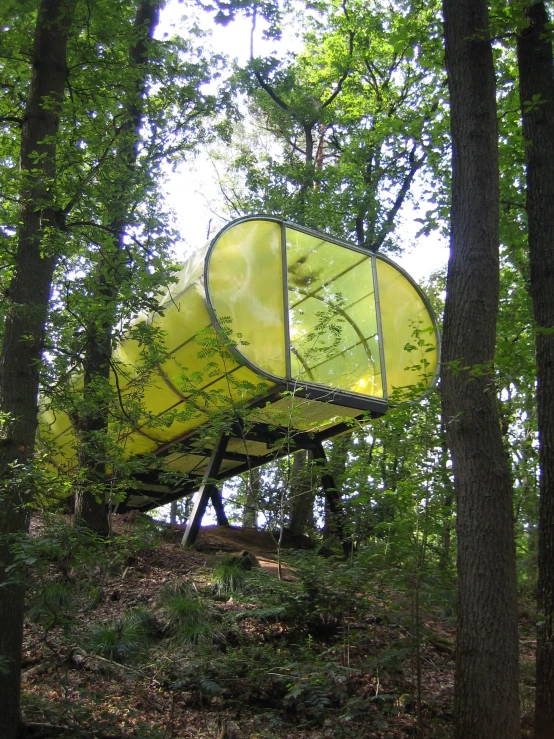 the large yellow object is in the trees