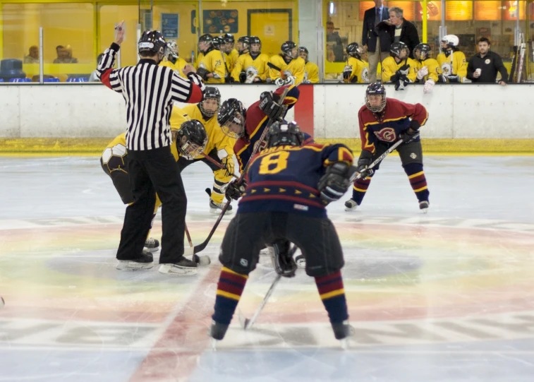 hockey players in yellow jerseys on an ice rink