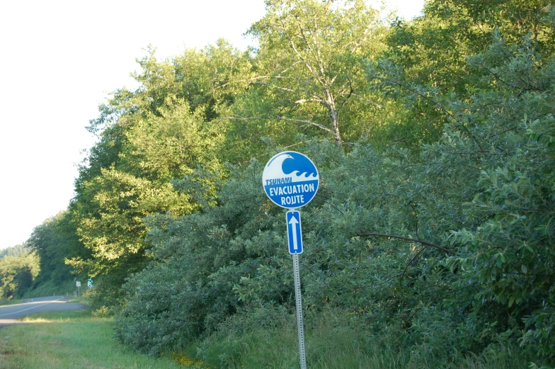 blue street sign for the entrance to a forest area