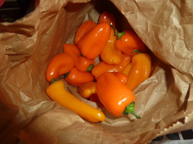 a bunch of orange peppers with leaves on top