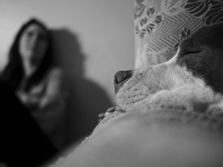 a person sitting in bed with a dog sleeping next to them