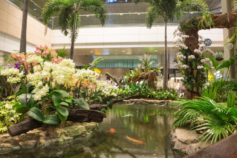 a tropical garden is arranged in the lobby