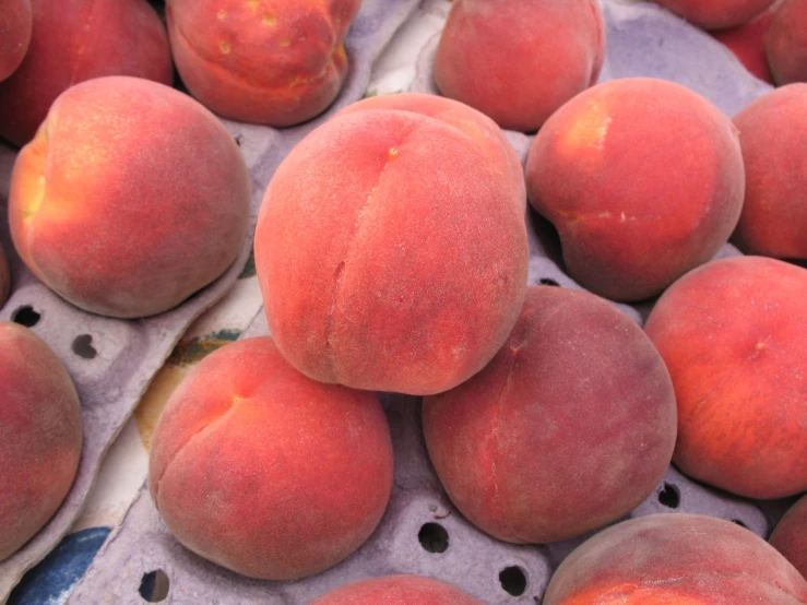 a group of peaches sit on top of each other