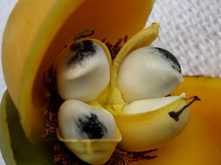 three pieces of bananas with white chocolate on them