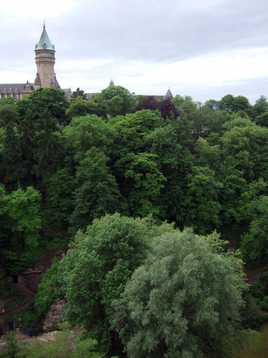 a large castle is in the distance with several trees and people