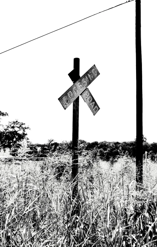 a stop sign and the power line are in the distance