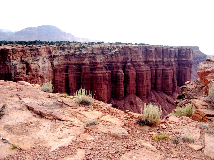 large cliffs with grass and bushes growing on the top