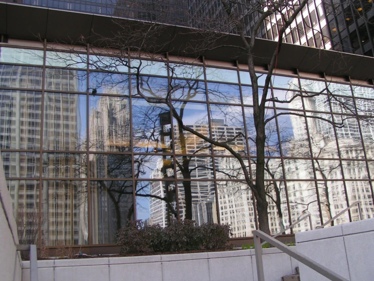 an image of trees and buildings seen in the windows of another building