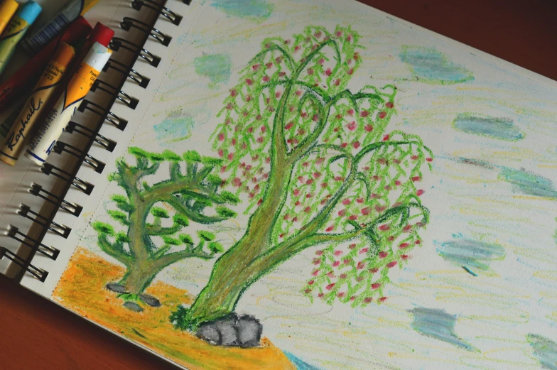 a drawing is shown on a notebook with crayons