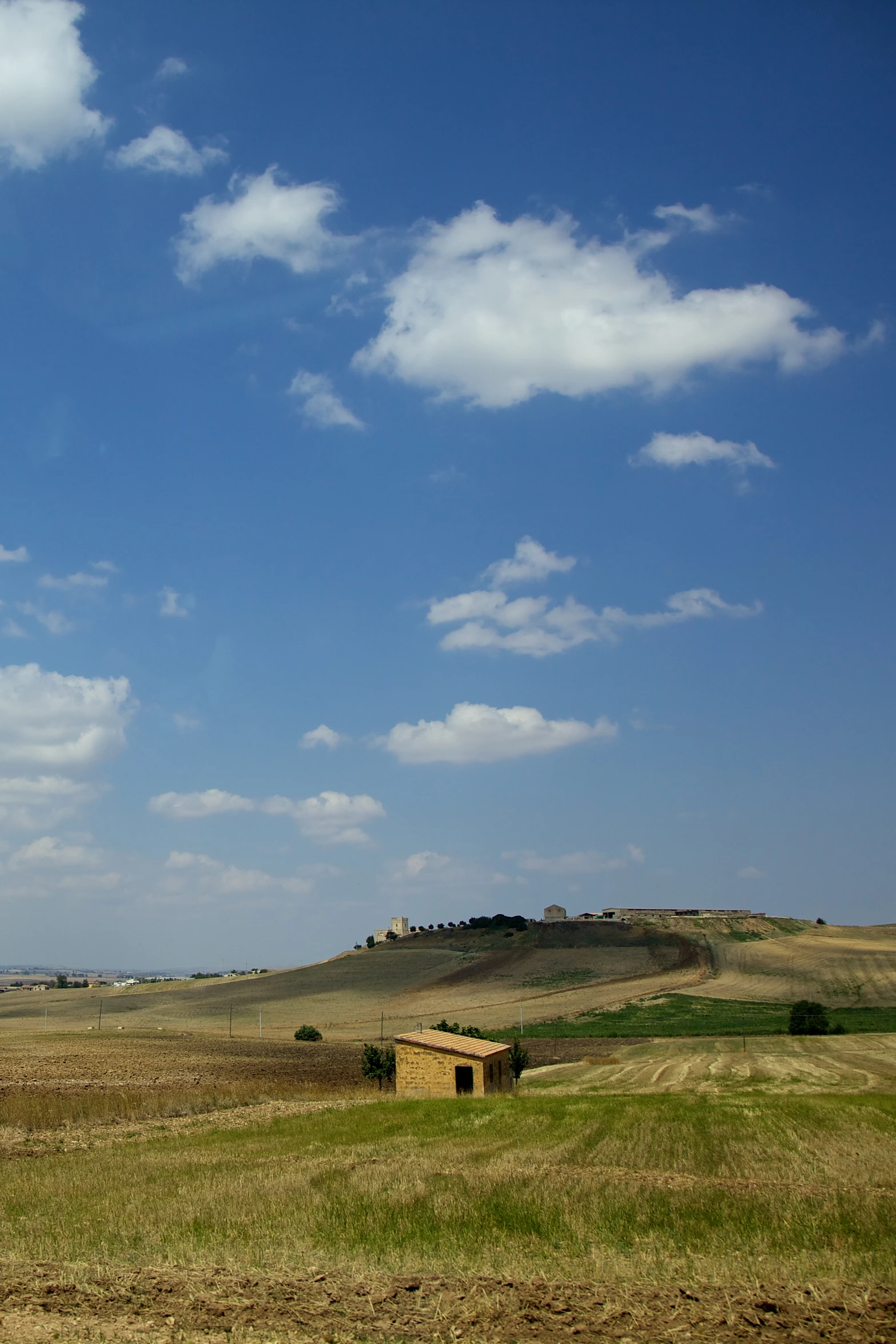 a man in a field is flying a kite