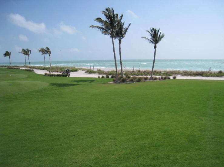 a lush green golf course with ocean in the background