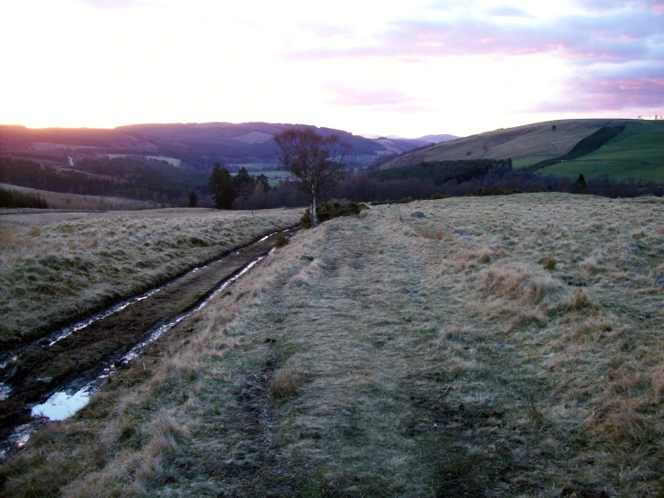 an area with muddy tracks running through it