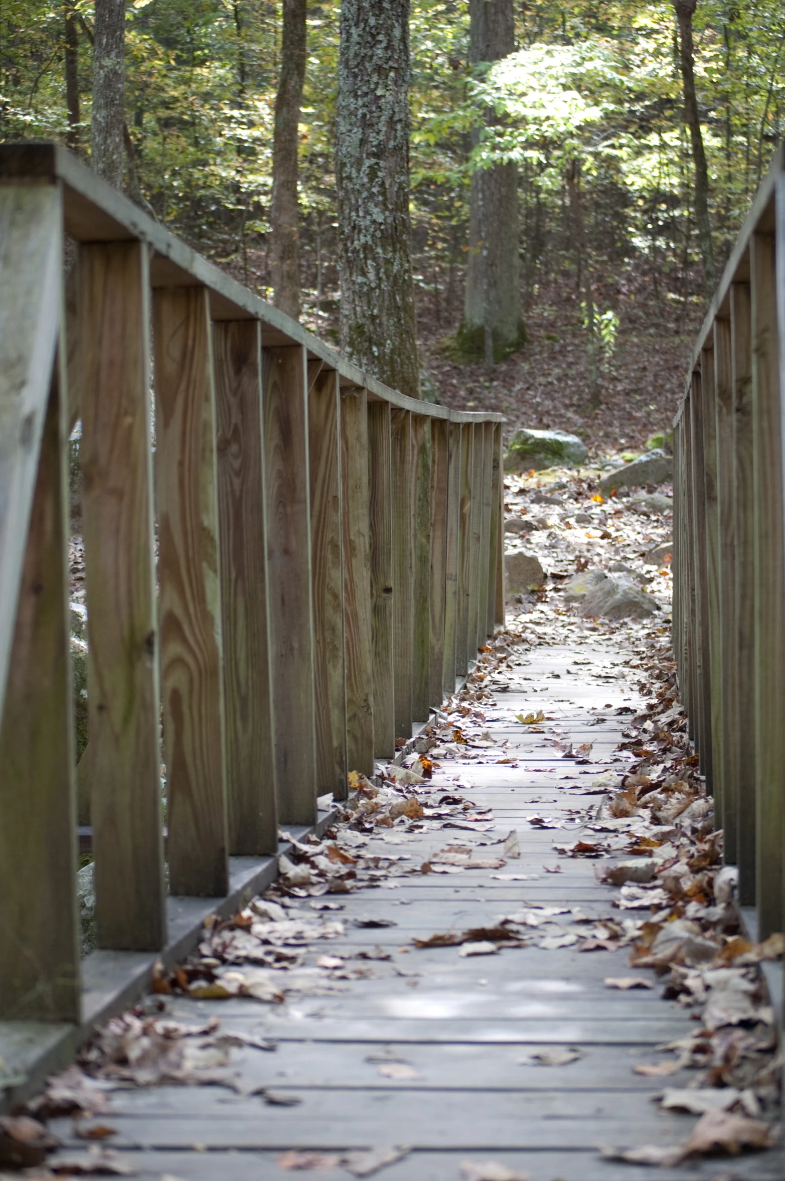 the wooden bridge is surrounded by leaves and woods