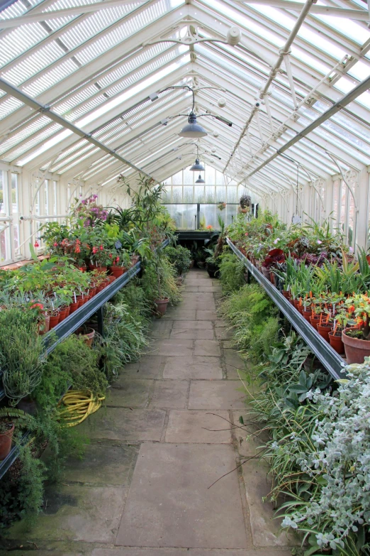 an enclosed garden with plants, walkway, lights and hanging lanterns