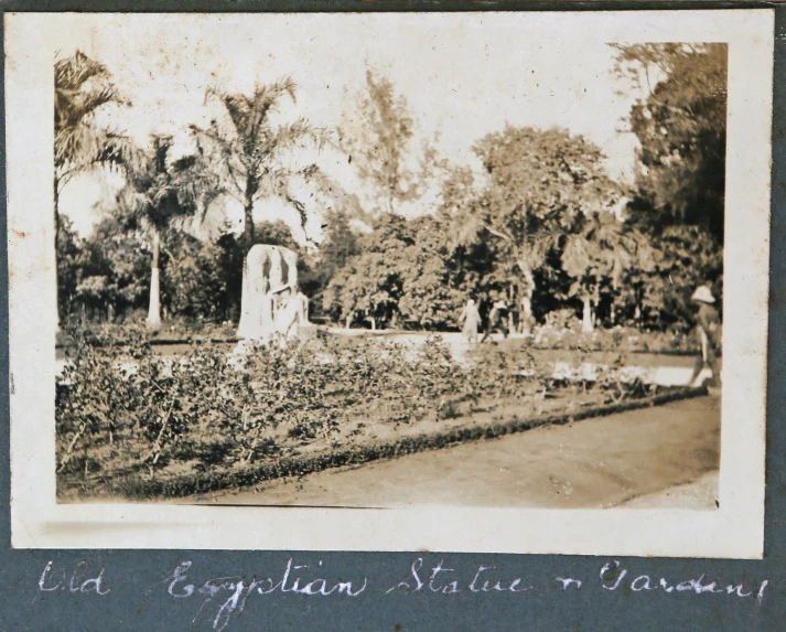 a black and white po of people standing around in a garden