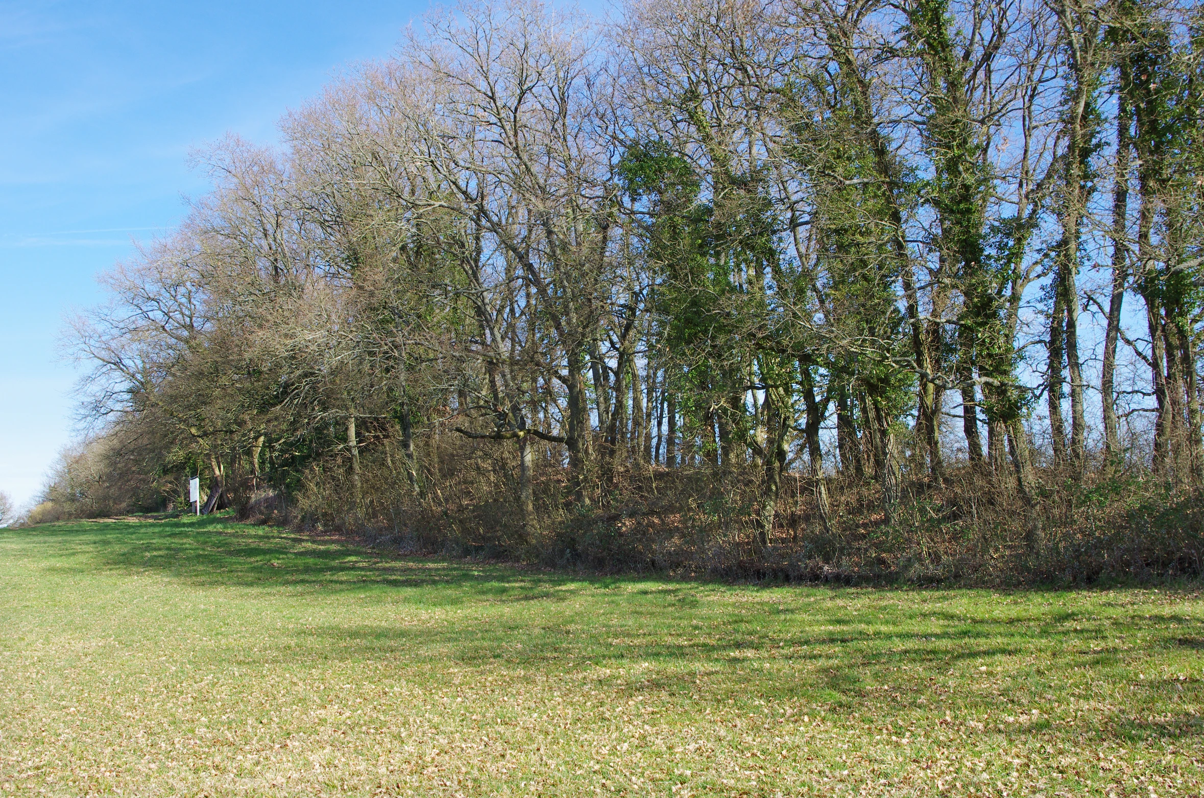 a green field surrounded by trees and a road sign