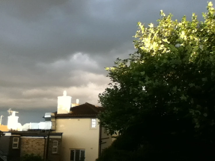 trees are shown near a row of houses under cloudy skies