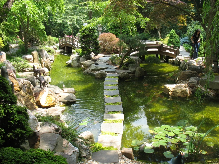 a japanese garden with a stream flowing under it