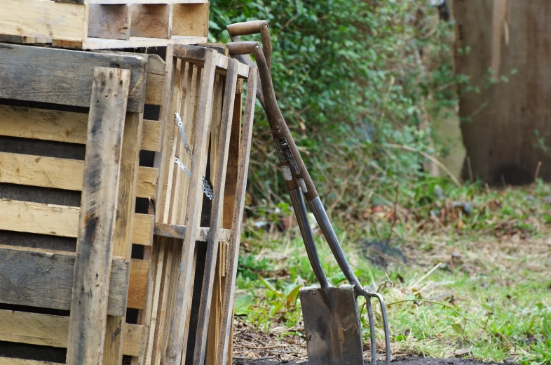 a pickle leaning against some pallets in a wooded area