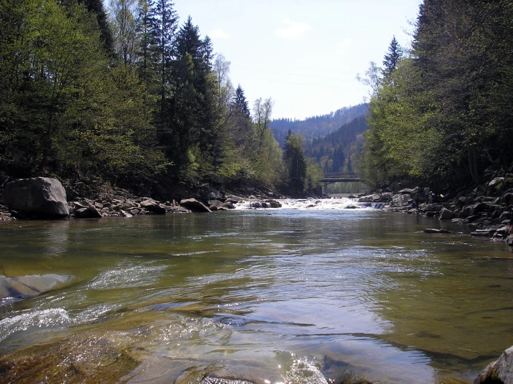 some very pretty clear water in a big river