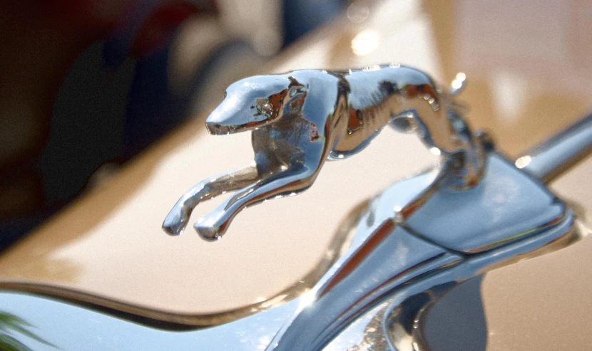 a chrome faucet sitting on top of a shiny car