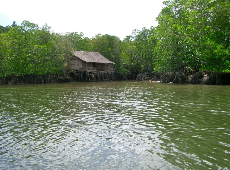 a wooden house is nestled on the river side