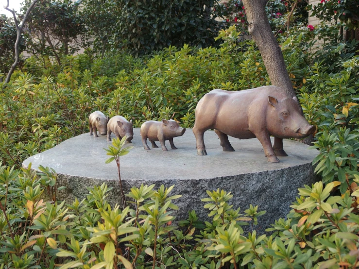 three white rhinos stand in front of a larger black one