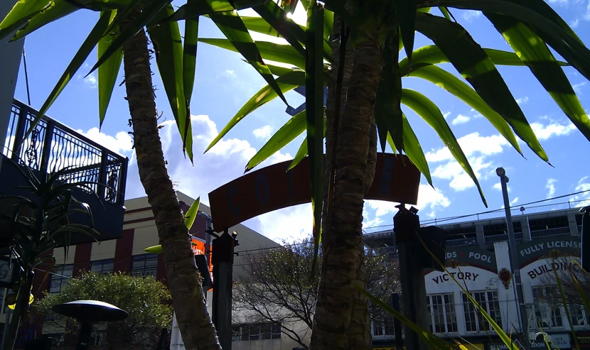 the signs are hanging in the trees in front of some buildings