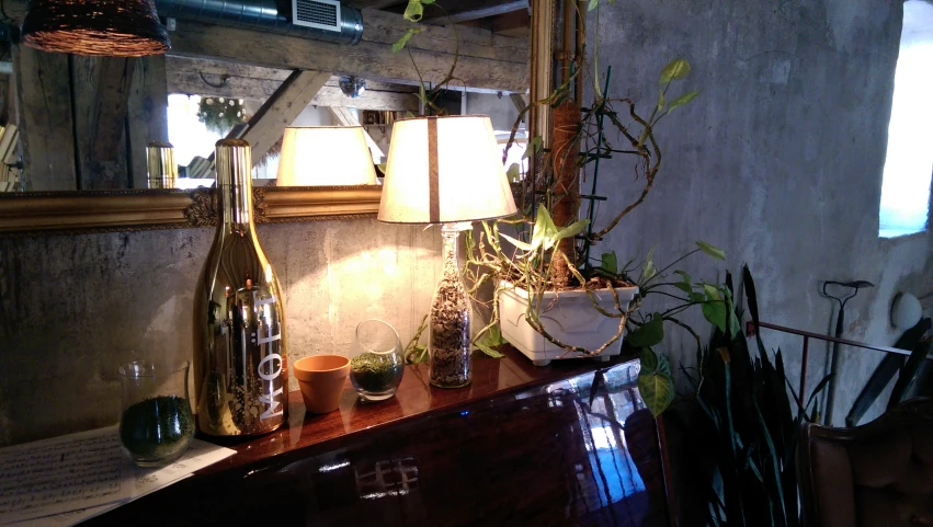 lamps are on the dresser with plants in vases